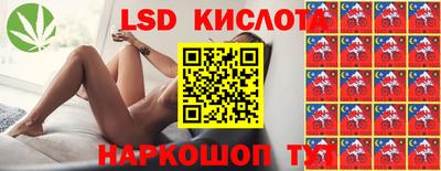 прущие грибы Гатчина