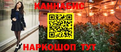 прущие грибы Гатчина