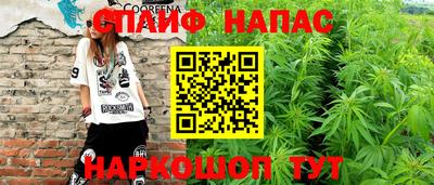 прущие грибы Гатчина