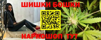 прущие грибы Гатчина