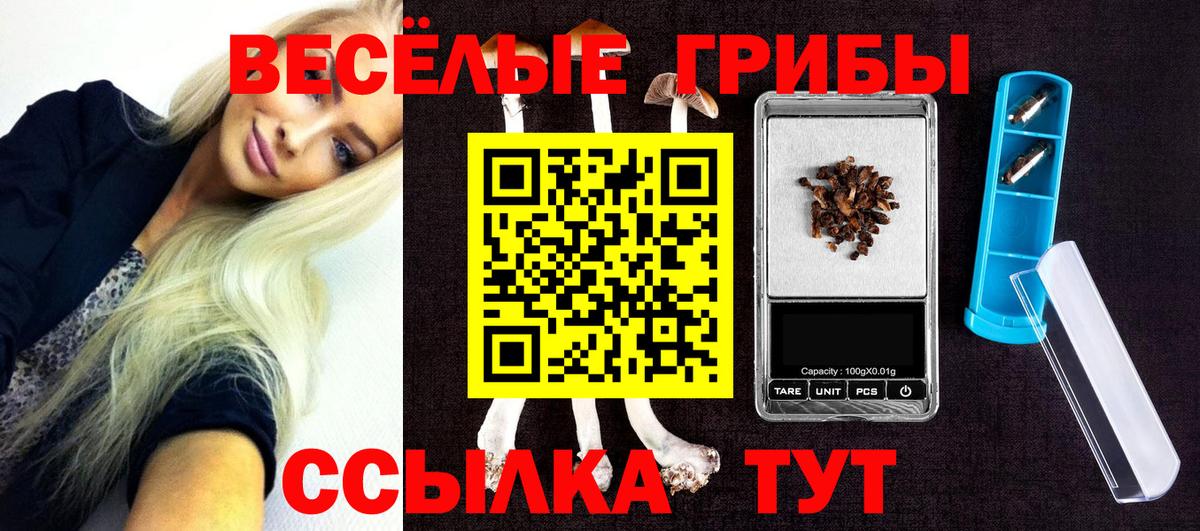 Избербаш  Псилоцибиновые грибы мицелий  Псилоцибиновые грибы мицелий  Вход с VPN 