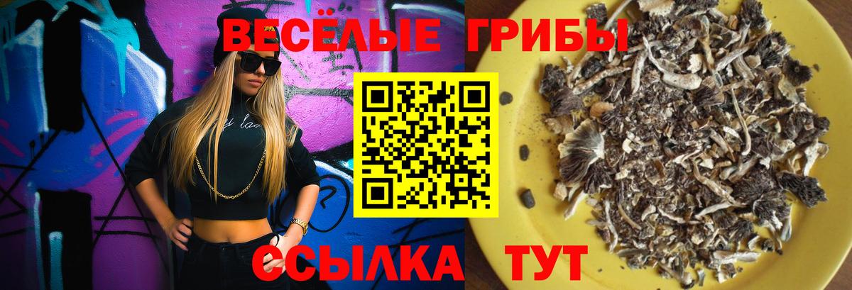 ГАШ  NBOMe  Лсд 25  Alpha-PVP СК   Меф МЯУ МЯУ   МЕТАМФЕТАМИН  КОКАИН  Вход с VPN  Избербаш  Марихуана 